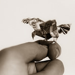 Orikane Origami Eagle